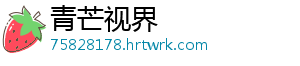 青芒视界